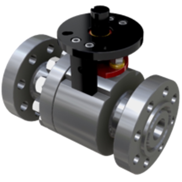 Severe Service Valves